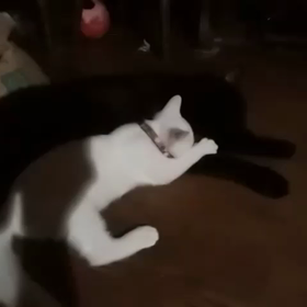 モミモミの画像