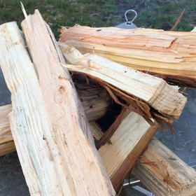 プスプスプスプス…の画像