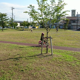 ☆自転車乗れました！☆の画像