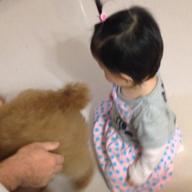 犬と娘と父の画像