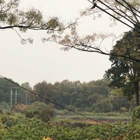 熊本遠征の画像