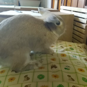 ホリホリスィー！の画像