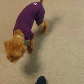 違いのわかる男☆の画像