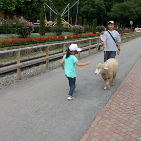 7/24 家族旅行④の画像