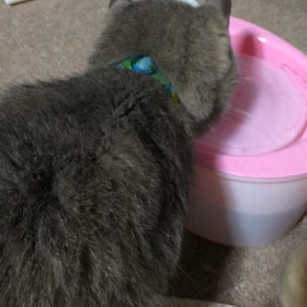 心配していたらの画像