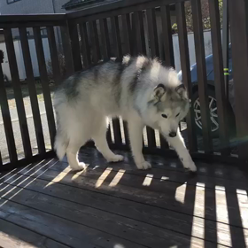 た、た、たまらん！の画像