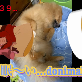 YouTube更新中❣️の画像