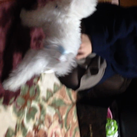 お水争奪戦の画像