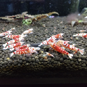 簡単投稿。の画像