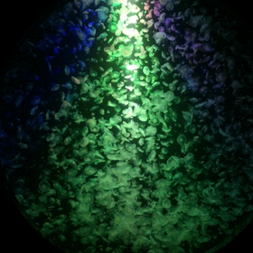 地元なので、一度は…②の画像