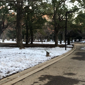 ♪お散歩動画♪代々木公園♪の画像