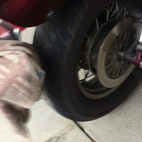 相棒の鼓動の画像