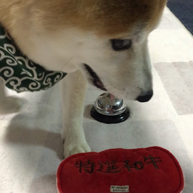 Bellを鳴らしただけなのに…の画像