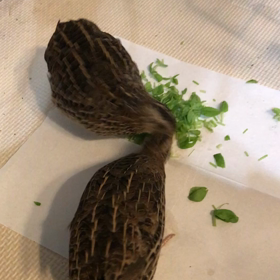 大好き豆苗の画像