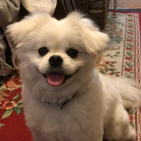 バーン！の画像