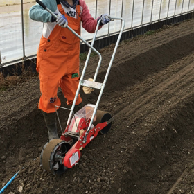 雪☃️降ってますね(≧∀≦)の画像