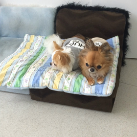 ♪プレイルーム動画♪②の画像