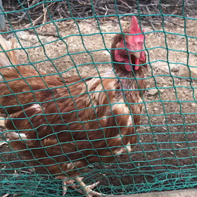 癒された〜〜の画像