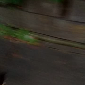 会津の姫様②の画像