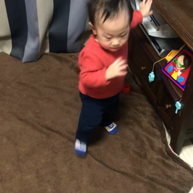 ✴︎11ヶ月0日✴︎11ヶ月になりましたの画像