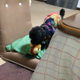 イライラするでちの画像