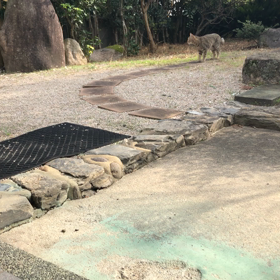 たくさん悩んで考えた結果、、、　その3の画像