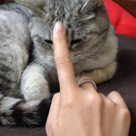 みゆみゆみゆ❤︎の画像