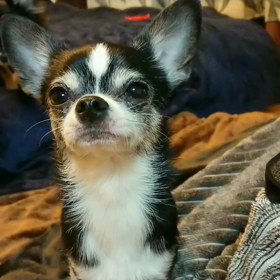 突然のリリ爆弾の画像