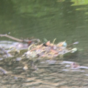 嵐が去ったそのあとは…の画像