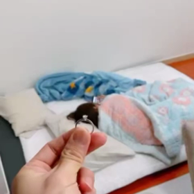 なぜがバズってる旦那のインスタリールの画像