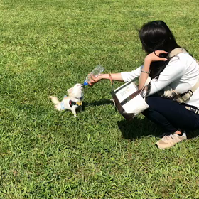 水飲み動画の画像