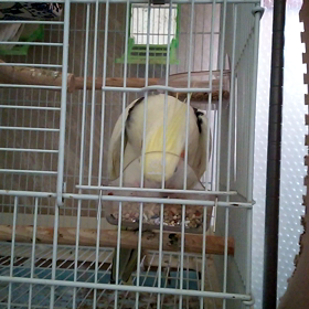 動画撮れたよ～＼(^_^)／の画像