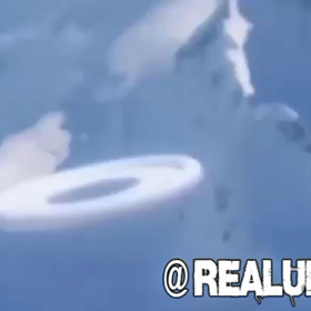 ベーグル型UFOの画像
