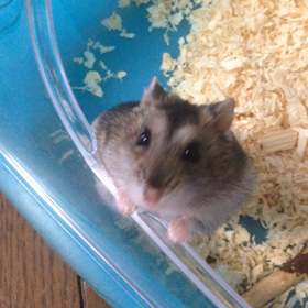 台風一過！の画像