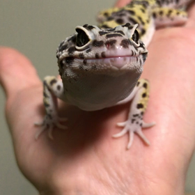 新品エアコン到着〜！の画像