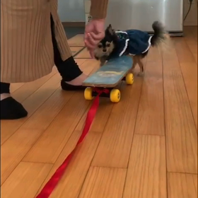 シェリも〜の画像