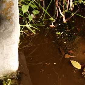 屋上庭園におけるヒエラルキーの画像