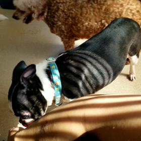 ゆりちゃんの変化の画像