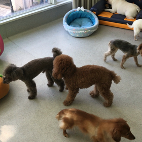 ♪年末年始のプレイルーム動画♪①の画像