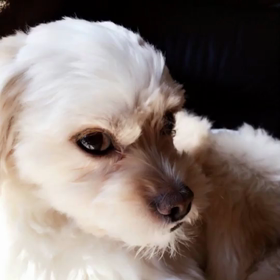 クリスタル✨ルンルンの画像