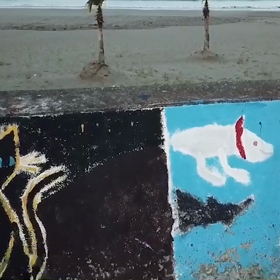 ドローン磯ノ浦！の画像