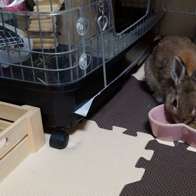 い  つものじゃなきゃ(๑°  °๑)の画像