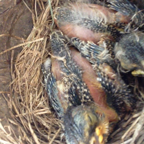 見つめられるのイヤ？の画像