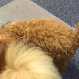 仲良し？の画像