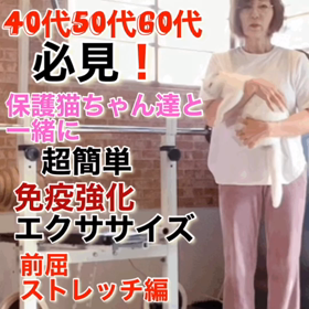 40代50代60代の方必見！保護猫ちゃん達と一緒に超簡単免疫強化エクササイズ前屈ストレッチ編の画像