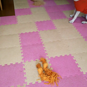 ルルの歩き方その後。の画像