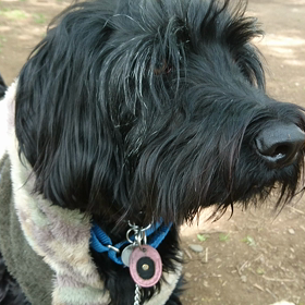 公園でボール遊びの画像