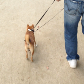 2015年10月15日の画像