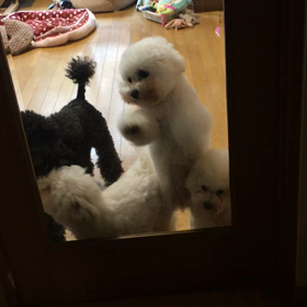 高速ガンガンの画像