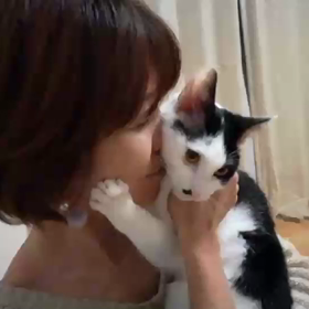 こうや君、プチちゃん【里親様募集中】の画像